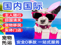 德宏芒市机场快递国际宠物托运 【国